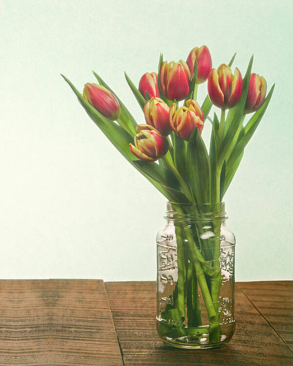 Agriculture Art Print featuring the photograph Bouquet of tulips in a mason jar by John Trax