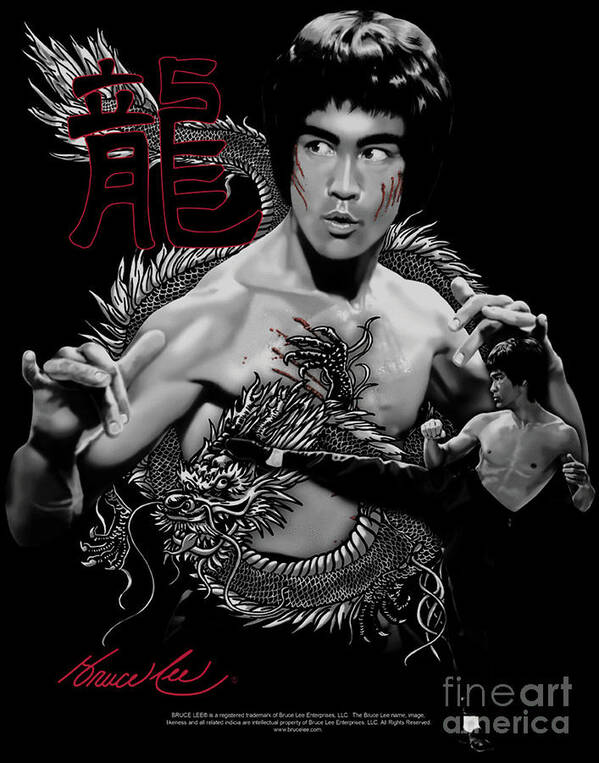 Bruce Lee The Dragon Art Print by Nicklas Johnsson - Fine Art America