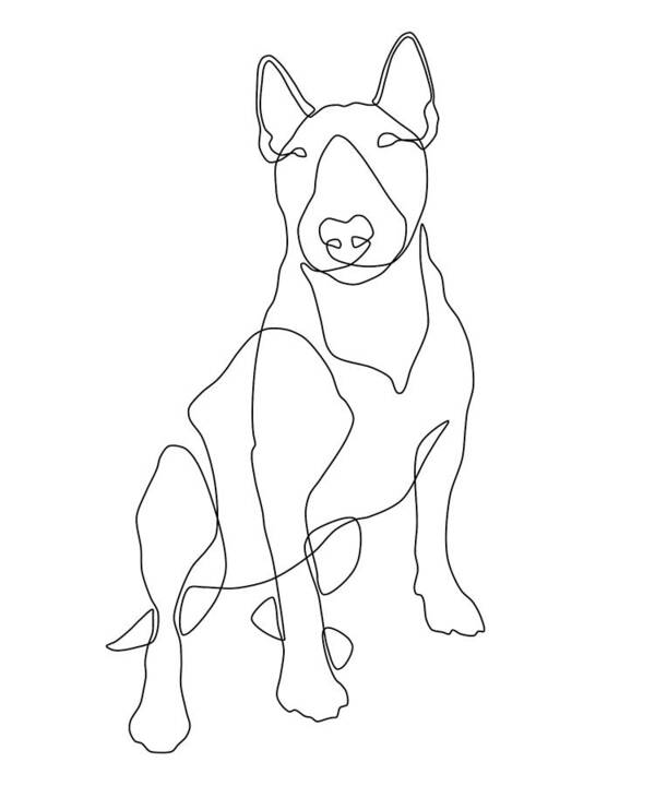 Bull Terrier Art Print featuring the drawing Bull Terrier Line Art by Jindra Noewi