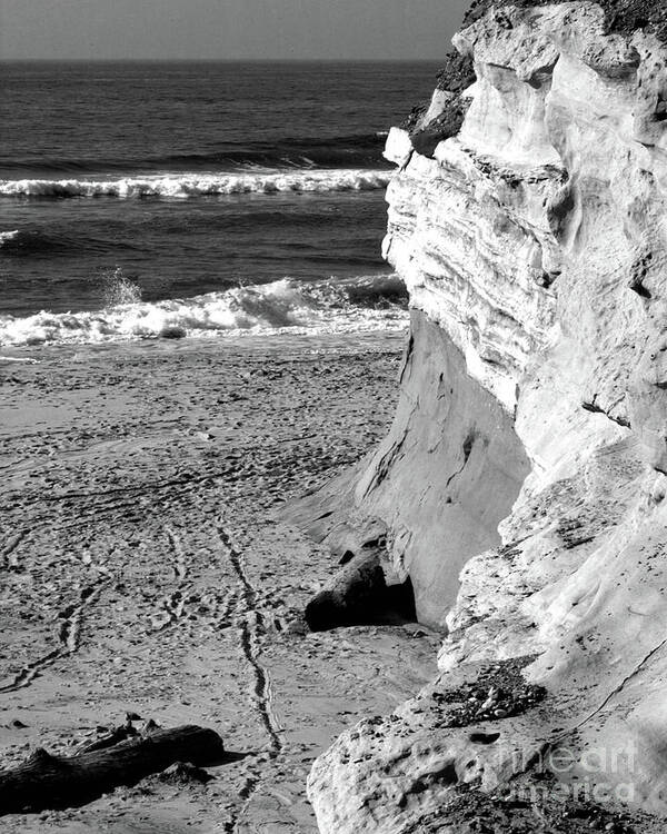 California Art Print featuring the photograph California Cliffs by Kimberly Blom-Roemer