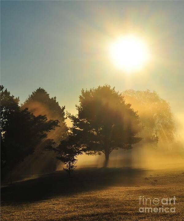 Sun Art Print featuring the photograph Chance of Showers by Terri Gostola