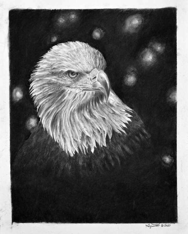 Eagle Art Print featuring the drawing Commanding Gaze by Greg Fox