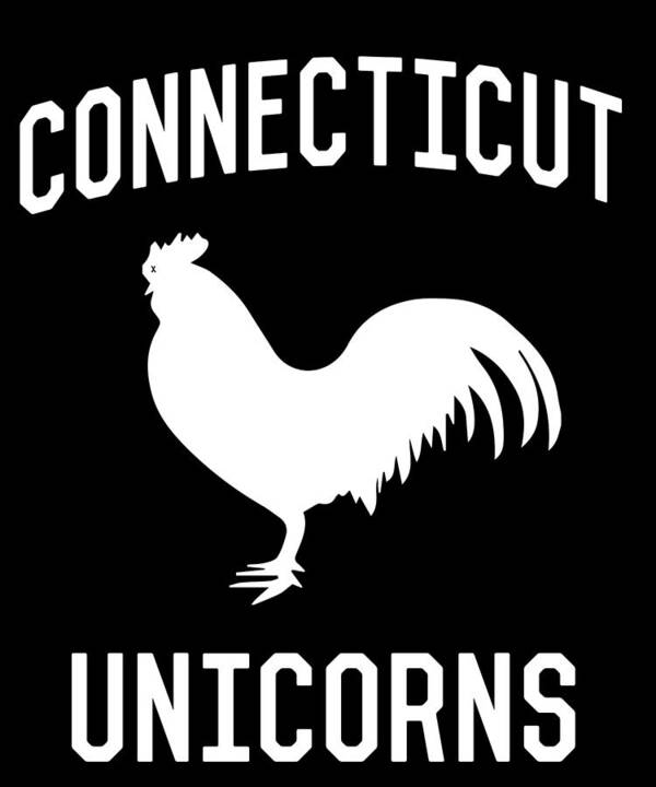 Funny Art Print featuring the digital art Connecticut Unicorns by Flippin Sweet Gear