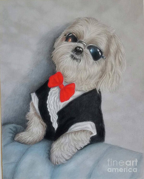 Cool Dude Art Print featuring the drawing Cool Dude by Lorraine Foster