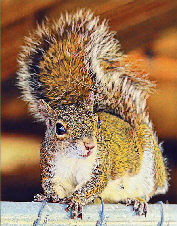 Squirrel Art Print featuring the photograph Cuteness Overload 2 by Joanne Carey