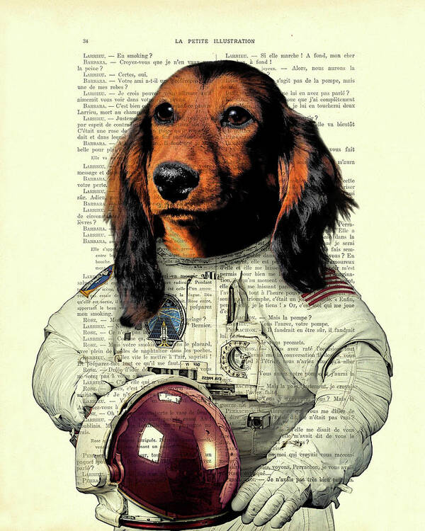 DACHSHUND yo yo 13x19 dog  art PRINT dog animals impressionism gift new 