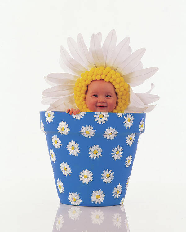 Color Art Print featuring the photograph Daisy Flowerpot by Anne Geddes
