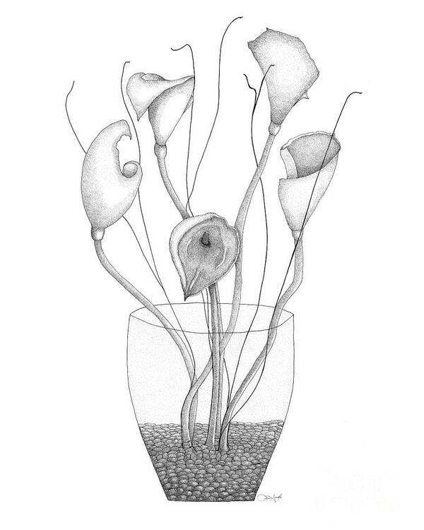 Ink Art Print featuring the drawing Dancing Lilies by Lisa Senette