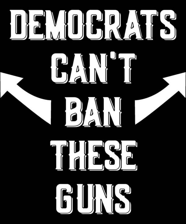 Trump 2020 Art Print featuring the digital art Democrats Cant Ban These Guns by Flippin Sweet Gear