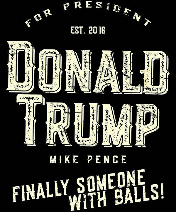 Funny Art Print featuring the digital art Donald Trump Mike Pence 2016 Retro by Flippin Sweet Gear