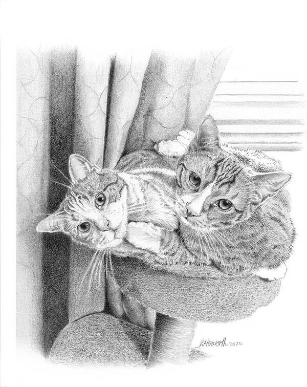 Cats Art Print featuring the drawing Naughty Boys by Louise Howarth