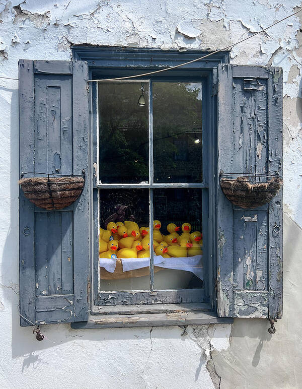 New Hope Art Print featuring the photograph Duck Window by David Letts
