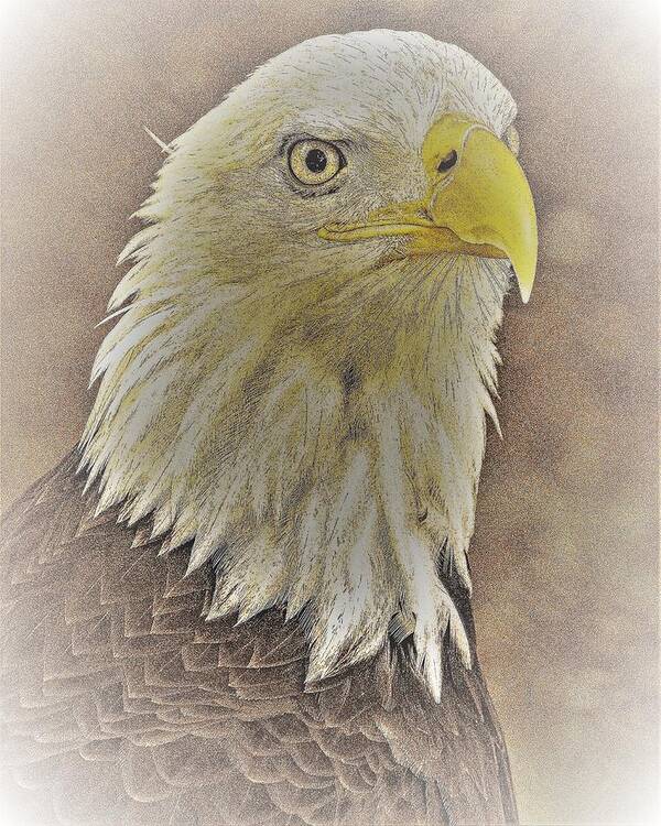 Eagle Eye Close Yellow Feathers Art Print featuring the photograph Eagle2 by John Linnemeyer