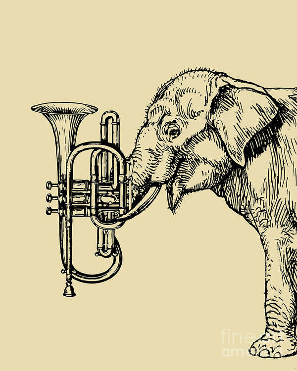 Elephant Art Print featuring the digital art Elephant musician by Madame Memento