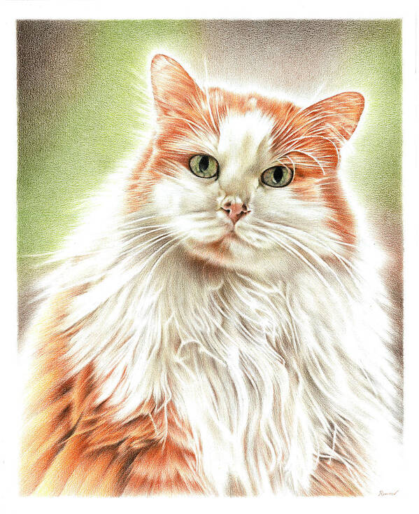 Cat Art Print featuring the drawing Fluffy Cat by Casey 'Remrov' Vormer