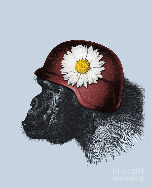 Monkey Posters Online - Shop Unique Metal Prints, Pictures, Paintings