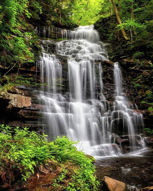 Waterfalls Art Print featuring the photograph Ganoga Falls by C Renee Martin