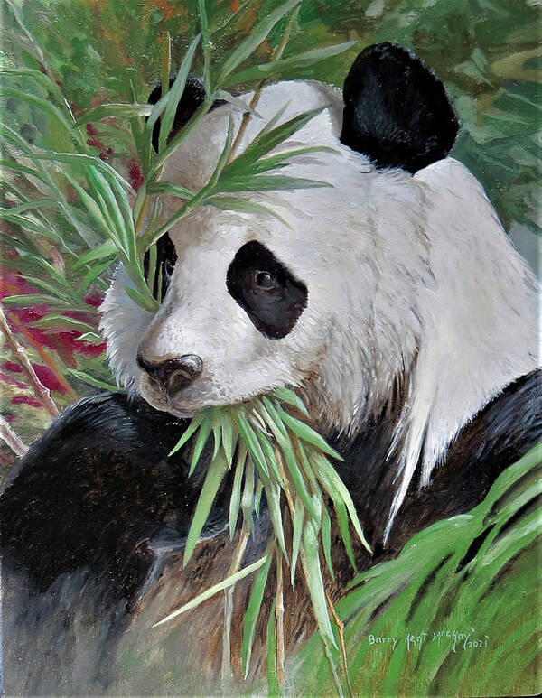 Giant Panda Art Print featuring the painting Giant Panda Portrait by Barry Kent MacKay