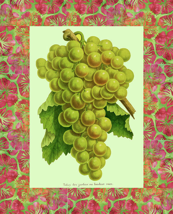 Green Grapes Art Print featuring the digital art Green Grapes in Batik Frame by Lorena Cassady
