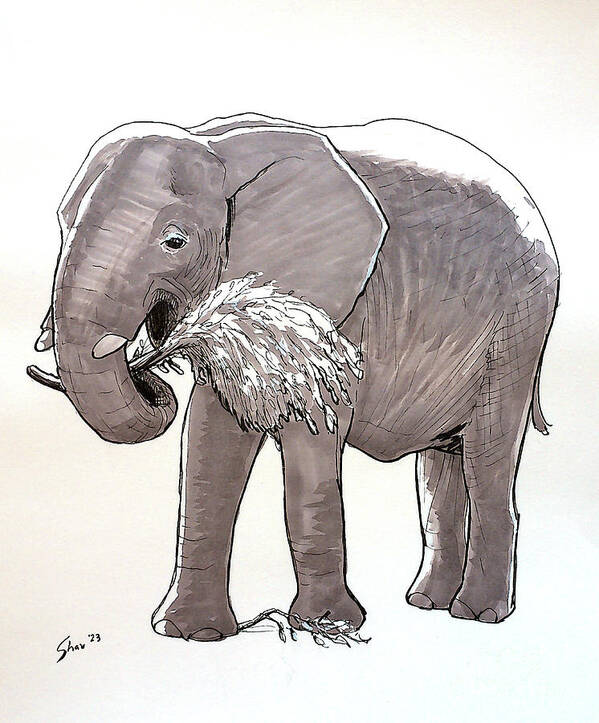 Elephant Art Print featuring the drawing Happy Elephant by Rohvannyn Shaw