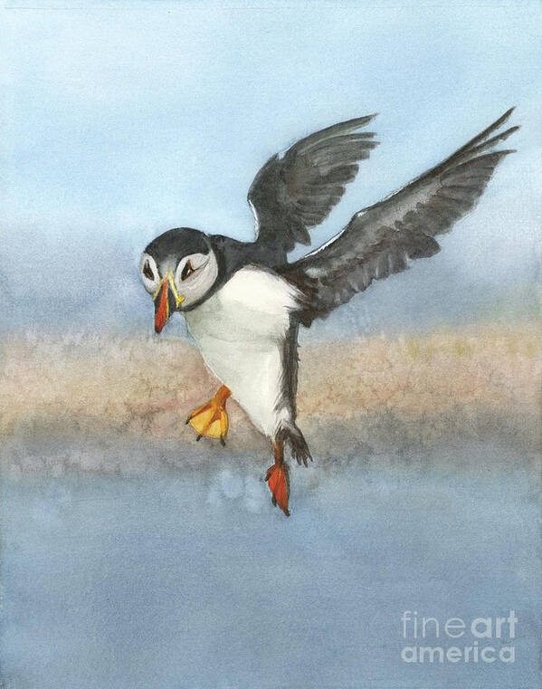 Bird Art Print featuring the painting Huffing and Puffin by Vicki B Littell