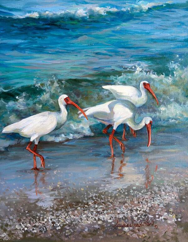 Ibis Art Print featuring the painting Ibis Trio by Laurie Snow Hein