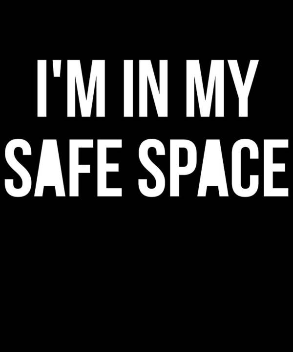 Funny Art Print featuring the digital art Im In My Safe Space by Flippin Sweet Gear
