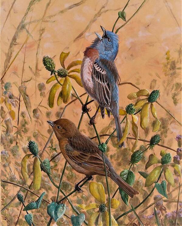 Lazuli Bunting Art Print featuring the painting Lazuli Bunting by Barry Kent MacKay