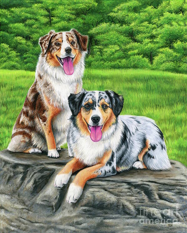 Australian Shepherd Art Print featuring the painting Lego and Drew by Rebecca Wang