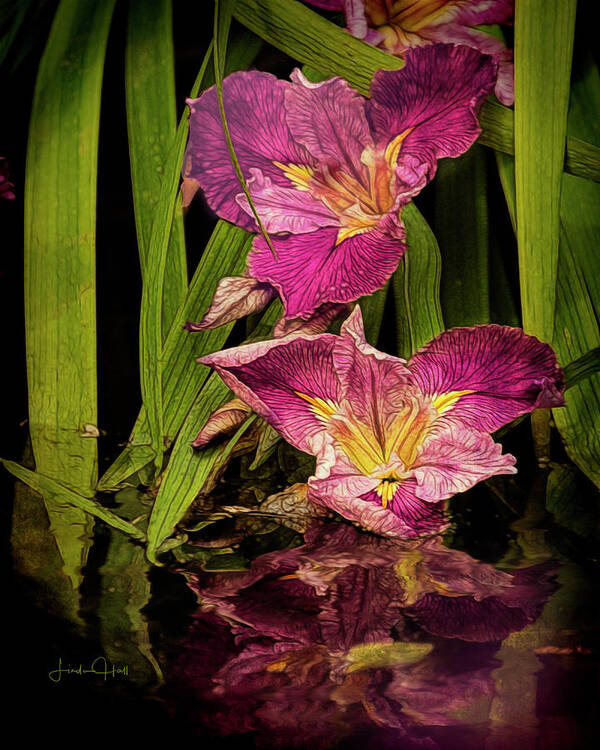 Pond Art Print featuring the photograph Lilies by the Pond by Linda Lee Hall
