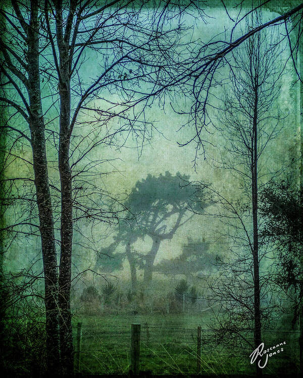 Tree Art Print featuring the photograph Looking Through by Roseanne Jones