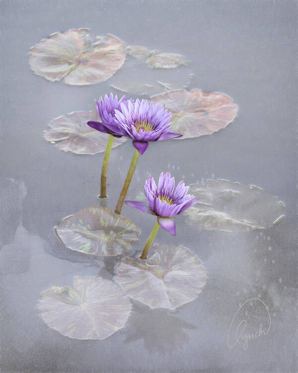 Flower Art Print featuring the photograph Lotus Blossoms by Karen Lynch