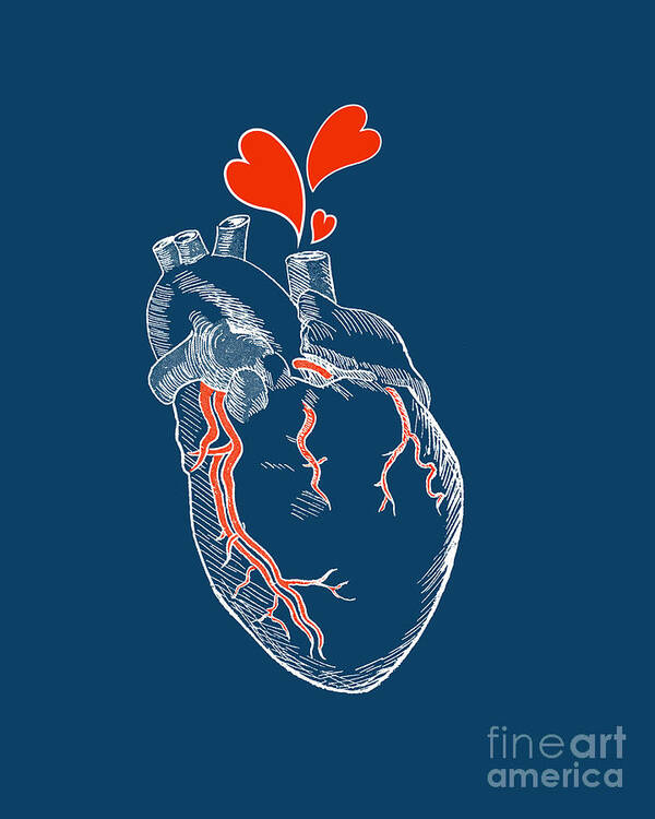 Heart Art Print featuring the digital art Marine Heart by Madame Memento