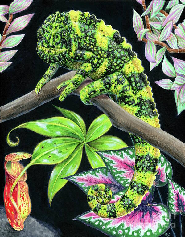 Chameleon Art Print featuring the painting Meller's Chameleon by Rebecca Wang