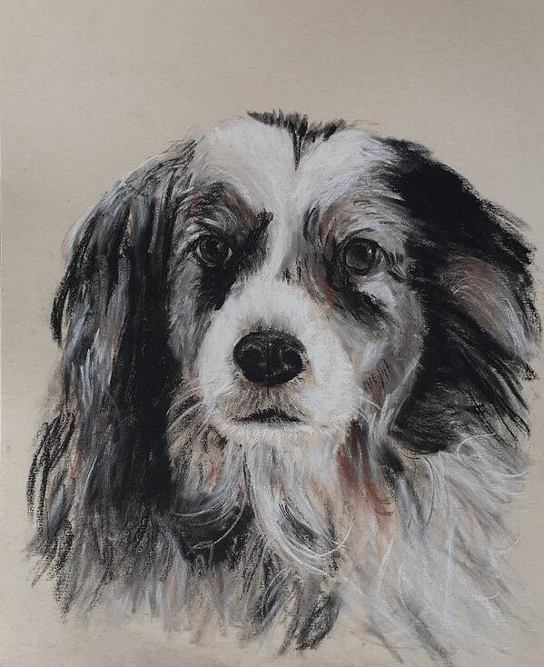 Family Pet Art Print featuring the pastel Miss Charli by Betty-Anne McDonald