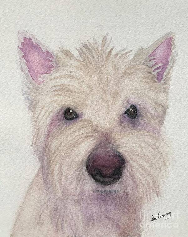 West Highland White Terrier Art Print featuring the painting Much Loved Simon by Sue Carmony