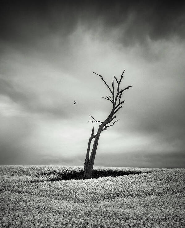 Monochrome Art Print featuring the photograph Out West by Grant Galbraith