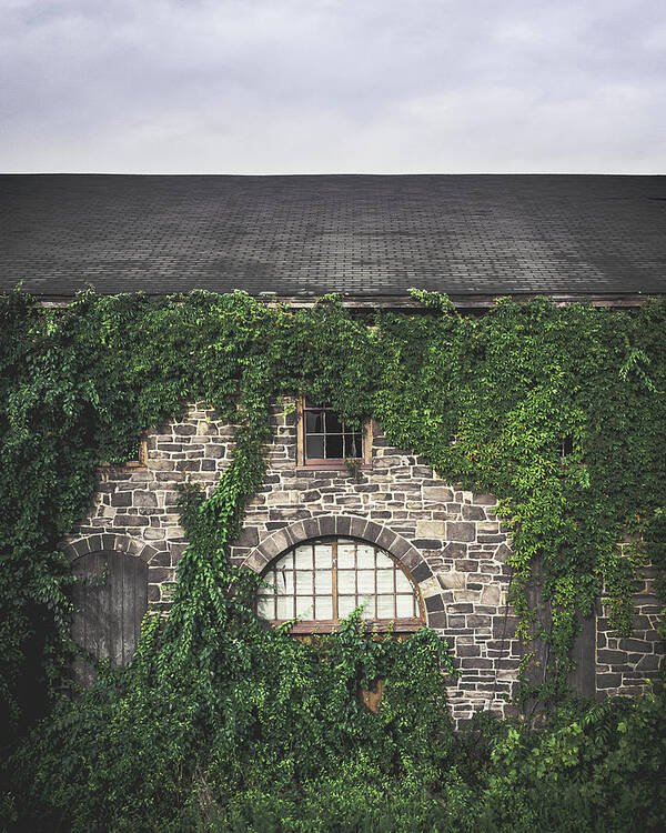 Warehouse Art Print featuring the photograph Over Grown #2 by Steve Stanger