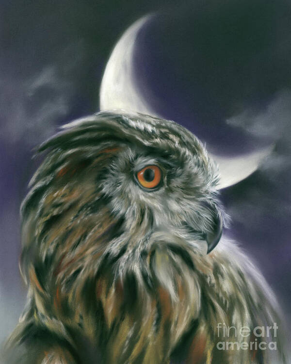 A Crescent Moon Shines Upon The Profile Of An Owl In This Bird Portrait Art Originally Created In Soft Pastel. A Dark Purple Sky With Gray Wisps Of Cloud Is The Background For This Creature Of The Night Limned With Moonlight. Thanks To Deborah Coker Of The Facebook Group Free Reference Photos For Artists. Art Print featuring the painting Owl and Crescent Moon by MM Anderson