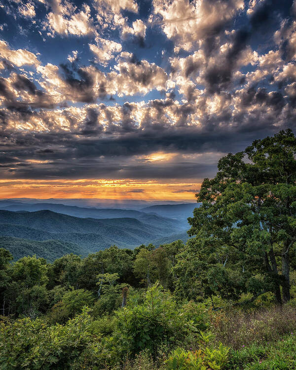 Mountains Art Print featuring the photograph Peace on the Blue Ridge by Tricia Louque