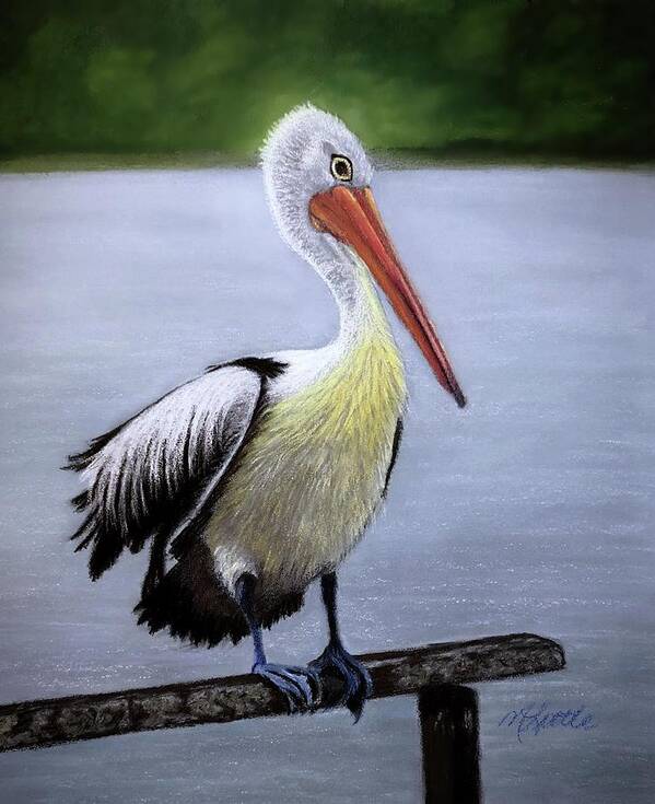 Pelican Art Print featuring the drawing Pelican by Marlene Little