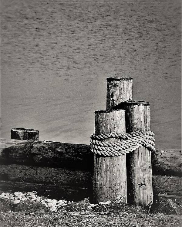 Piling Bulk Head Water Lake Rope Black White Art Print featuring the photograph Piel1 by John Linnemeyer