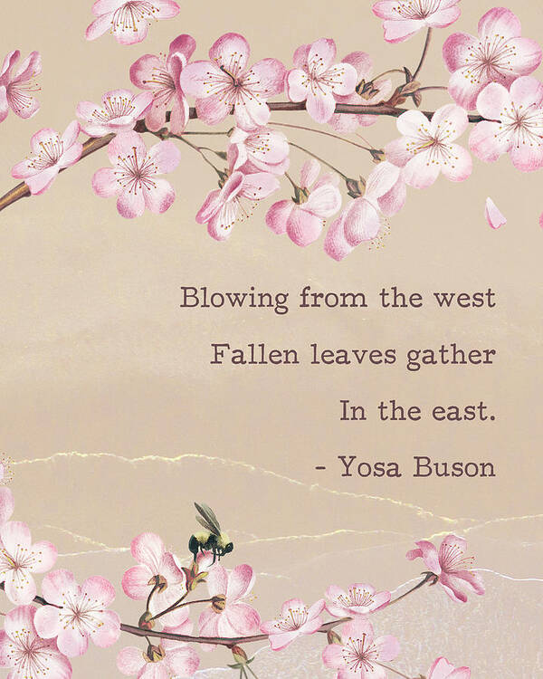 Pink Cherry Blossom Branches Art Print featuring the digital art Pink cherry blossom with Yosa Buson Haiku Poem by Georgia Clare