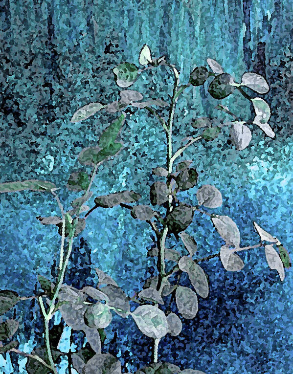 Plant Art Print featuring the photograph Plant in Blue Light by Corinne Carroll