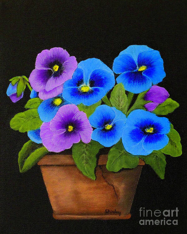 Pansies Art Print featuring the painting Potted Pansies by Shirley Dutchkowski