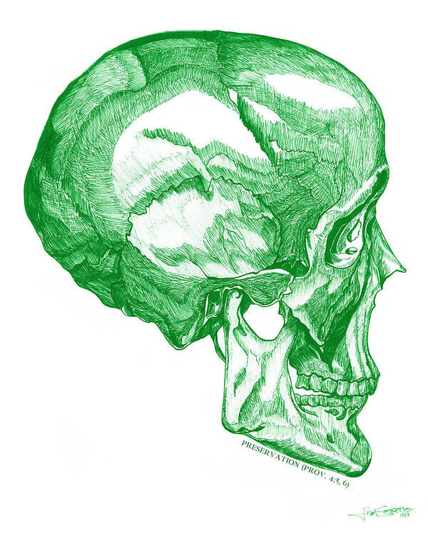 Green Art Print featuring the drawing Preservation-Green Skull by Lisa Senette