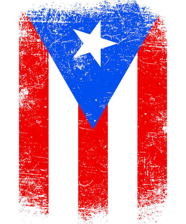 Puerto Rico Art Print featuring the digital art Puerto Rico Flag Puerto Rican by Flippin Sweet Gear