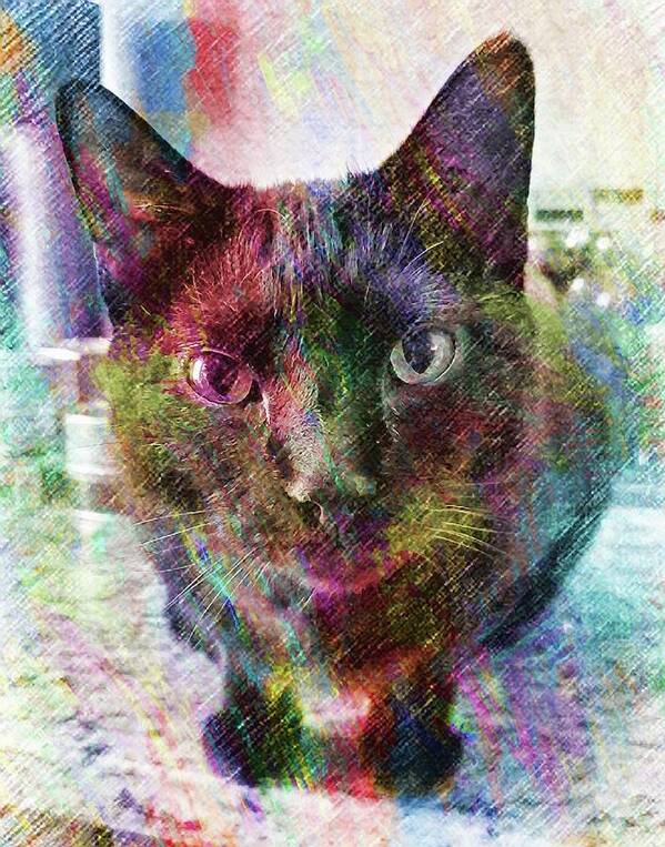 Cat Art Print featuring the photograph Rainbow Black Kitty by Annalisa Rivera-Franz