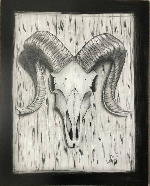 Ram Art Print featuring the drawing Ram Skull by Gregory Lee