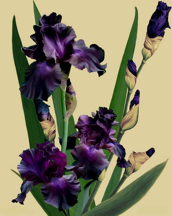 Nearly Black Iris Art Print featuring the mixed media Raven Girl Iris by Anthony Seeker